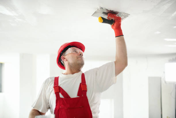 Best Black Mold Removal  in USA